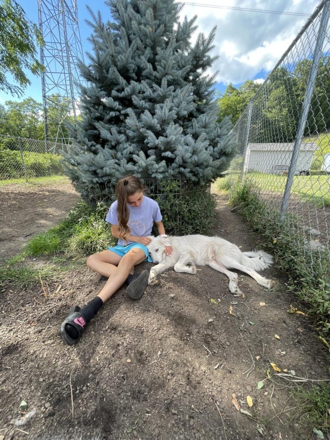 Morgan Uhlhorn doing what she loves most at BASS Animal Shelter.