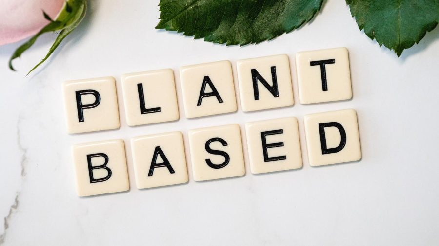 Plant-based does not mean eating entirely vegan; it simply means adding in more plants to your diet! Looking to increase your plant consumption? Try adding three new plant-based foods to your grocery cart during your next shop!