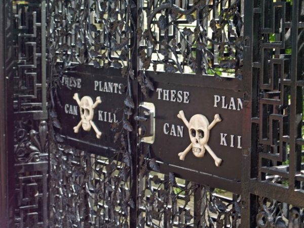 The Poison Garden is closed off by black iron gates and is only open for guided tours.