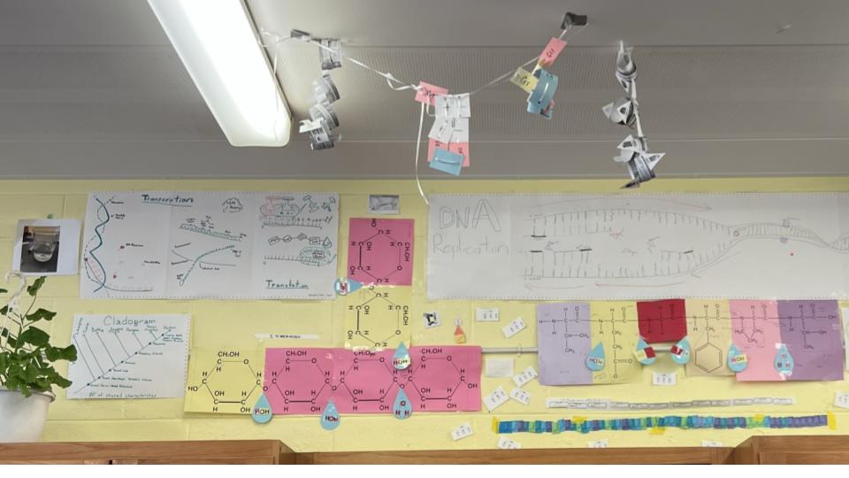 A collection of student work from throughout the year affixed to the back wall in Mrs. Fergusons room.
