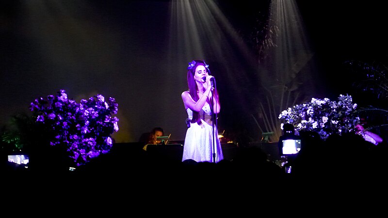 One+of+Lana+Del+Reys+first+performances+when+she+rose+to+fame+in+2012.