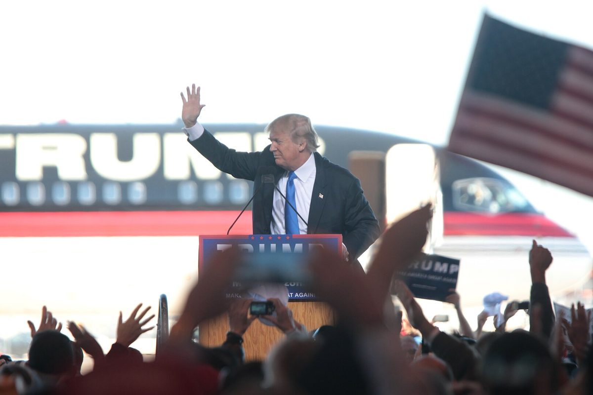 Donald Trump, at a campaign event in 2015. 

By Gage Skidmore (CC BY-SA 2.0)