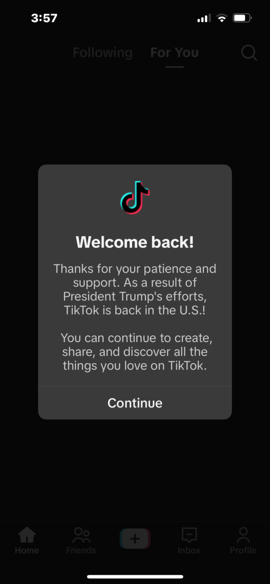 This message popped up once you opened TikTok when the app was brought back.