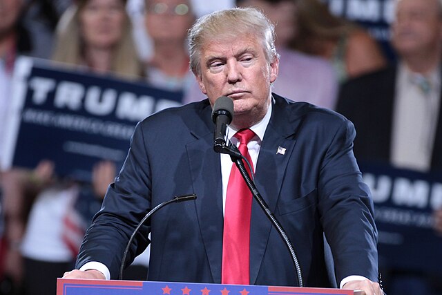 President Trump at a rally explaining his plans for presidency.

"Donald Trump" by Gage Skidmore (CC-BY-SA-2.0)