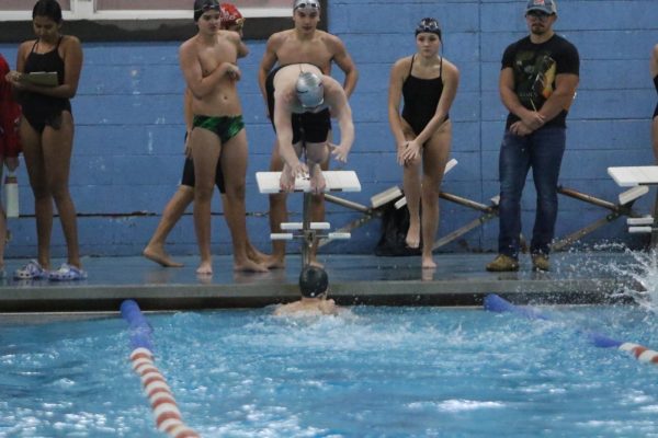 Sophomore Nate Schouten dives into a 200 medley relay. 

(LRHS)